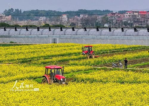 1024国产区,探索国产科技的魅力与未来